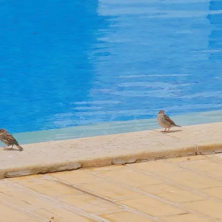 Eulalia With Pool And 5 Minutes From The Апартаменты