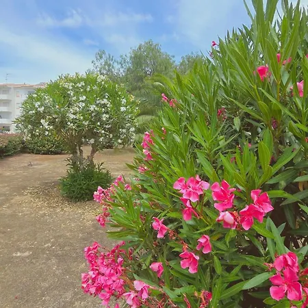 Eulalia With Pool And 5 Minutes From The *