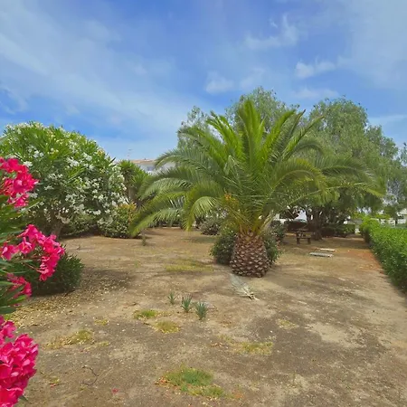 Eulalia With Pool And 5 Minutes From The Apartment Albufeira