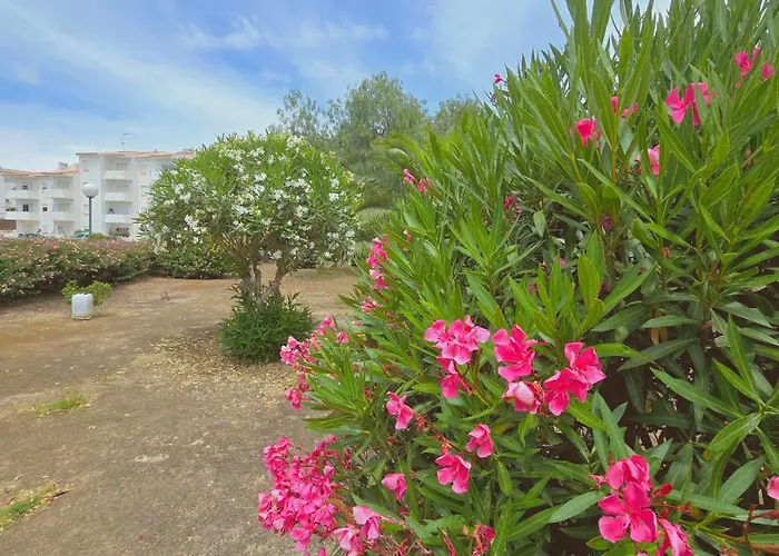 Eulalia With Pool And 5 Minutes From The *